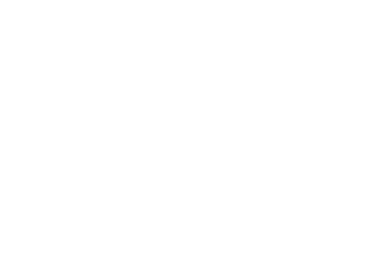 alelo